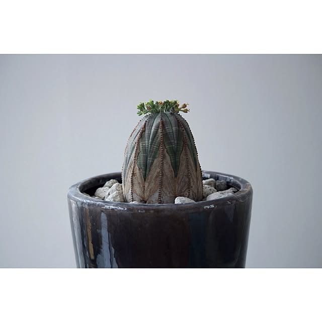 Atsushiさんの実例写真