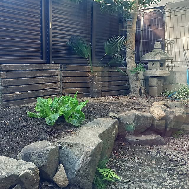 okube-さんの実例写真