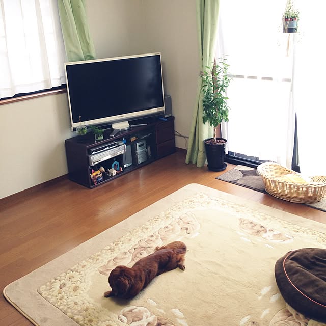momomotoさんの実例写真