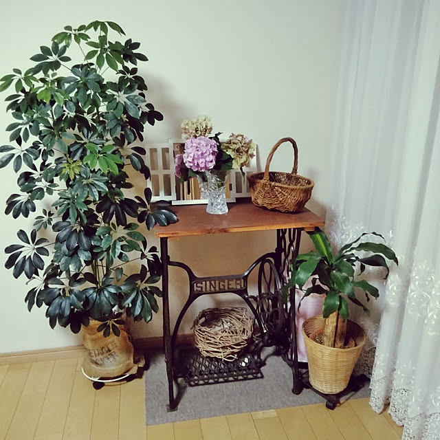 実例写真