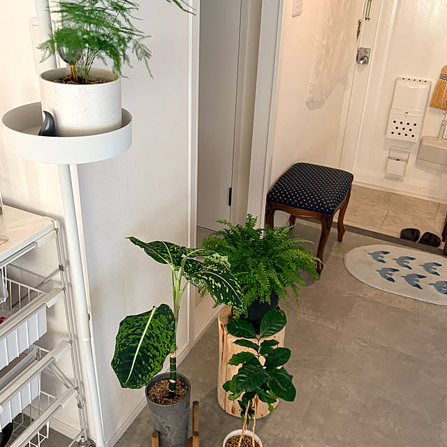 yokko_myroomさんの実例写真