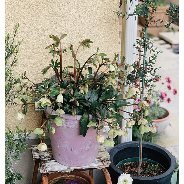 mogさんの実例写真