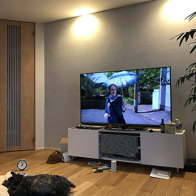 Haruさんの実例写真
