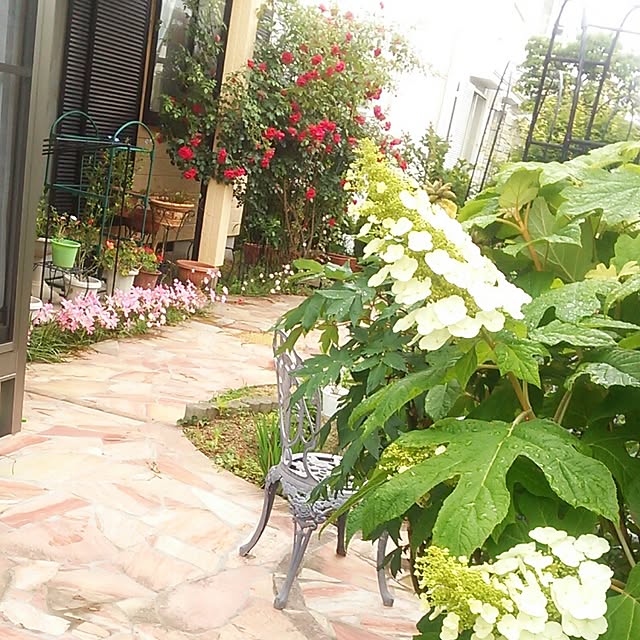 Tomopさんの実例写真