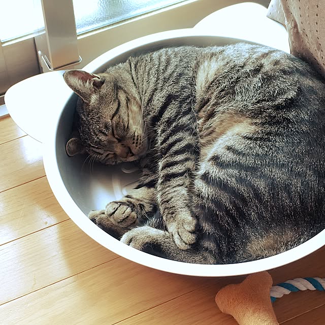 okdkyさんの実例写真