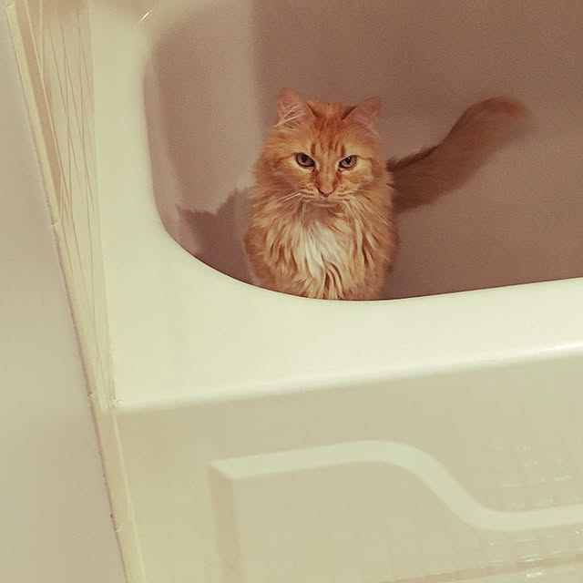 Keiさんの実例写真