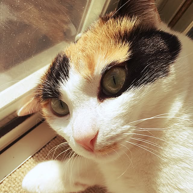 Tabasaさんの実例写真