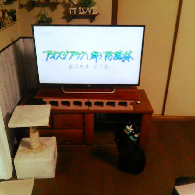 Tomopさんの実例写真