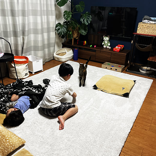 cyanさんの実例写真