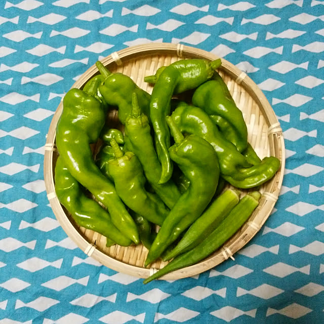 yum0408さんの実例写真