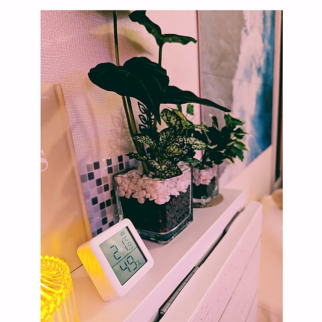 megurinさんの実例写真