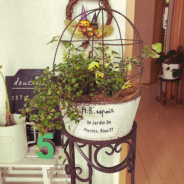 chiichanさんの実例写真