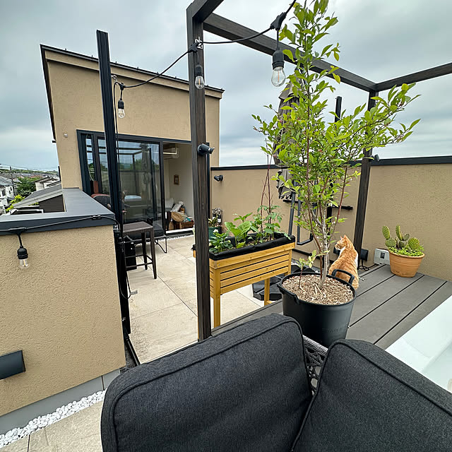 lemonadeさんの部屋