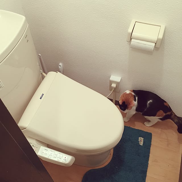 uruchimakiさんの実例写真