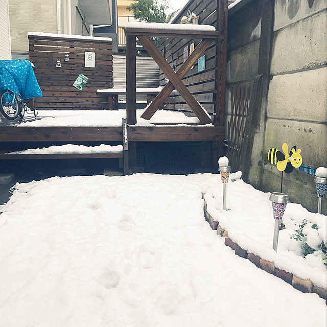 Saiiiさんの実例写真