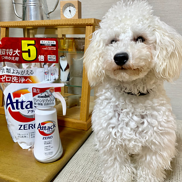 BUNさんの実例写真