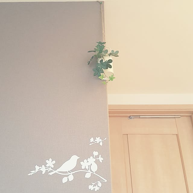 Ryokoさんの実例写真