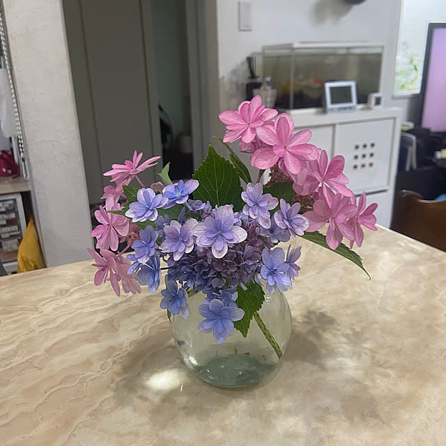 speranzaさんの実例写真