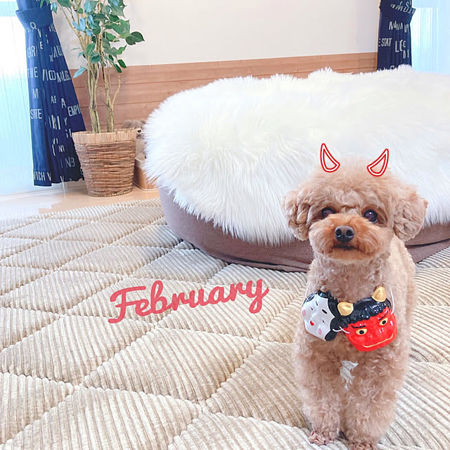 e.and.m.mamaさんの実例写真