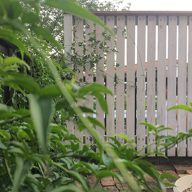 takaさんの実例写真
