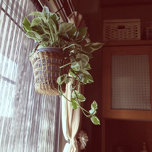 M.sさんの実例写真