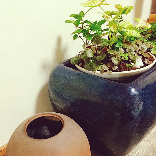 satomiさんの実例写真