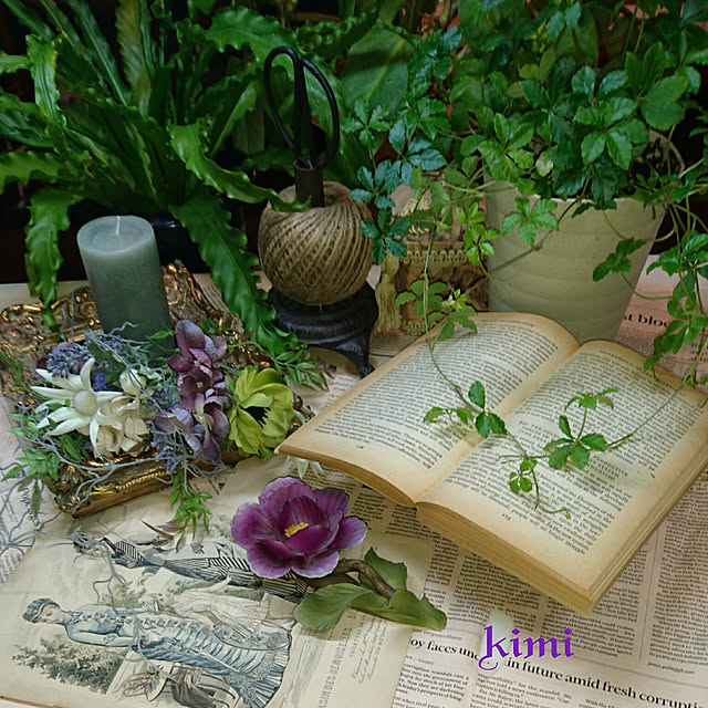 kimiさんの実例写真