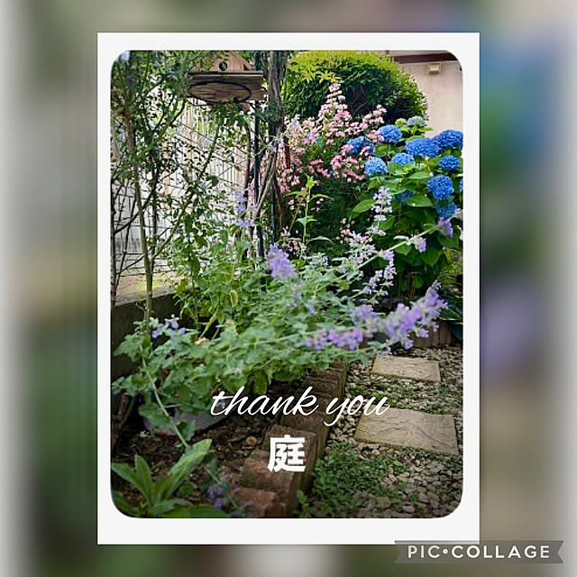 CoCo0617さんの実例写真