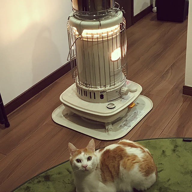 nyansさんの実例写真