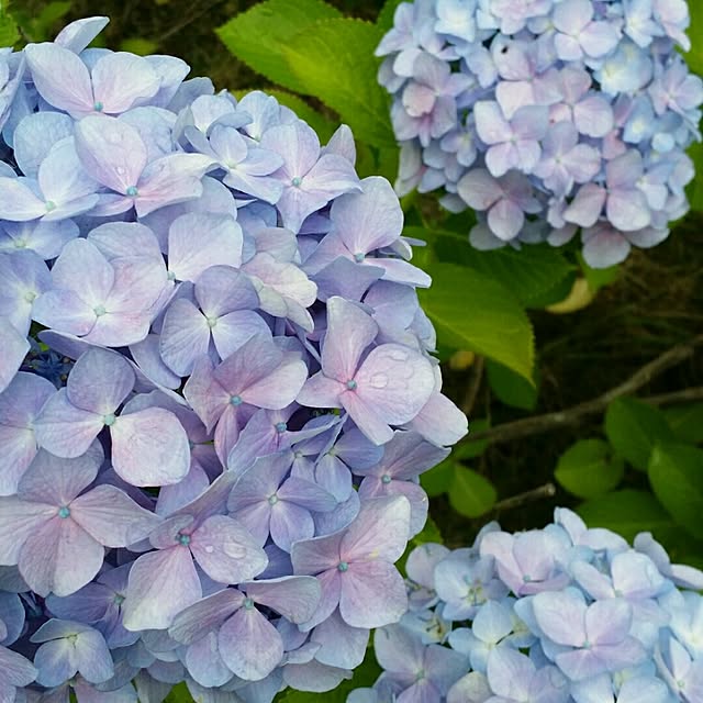 lecielさんの実例写真