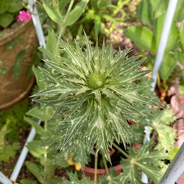 min_nimさんの実例写真