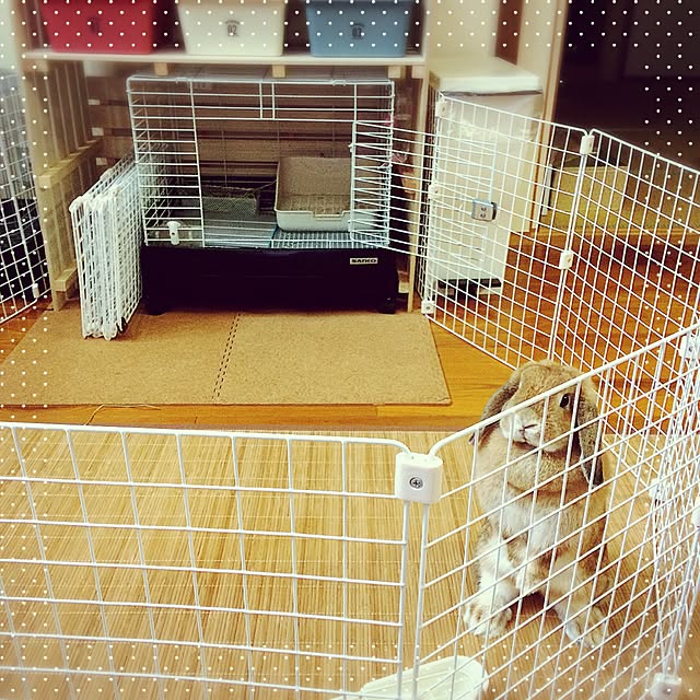 Asakaru_sopさんの実例写真