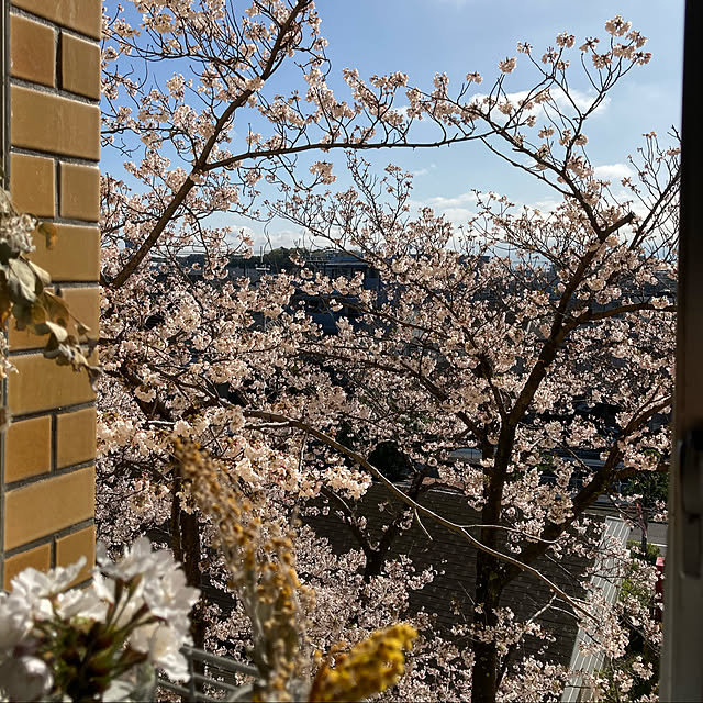 kemuさんの実例写真