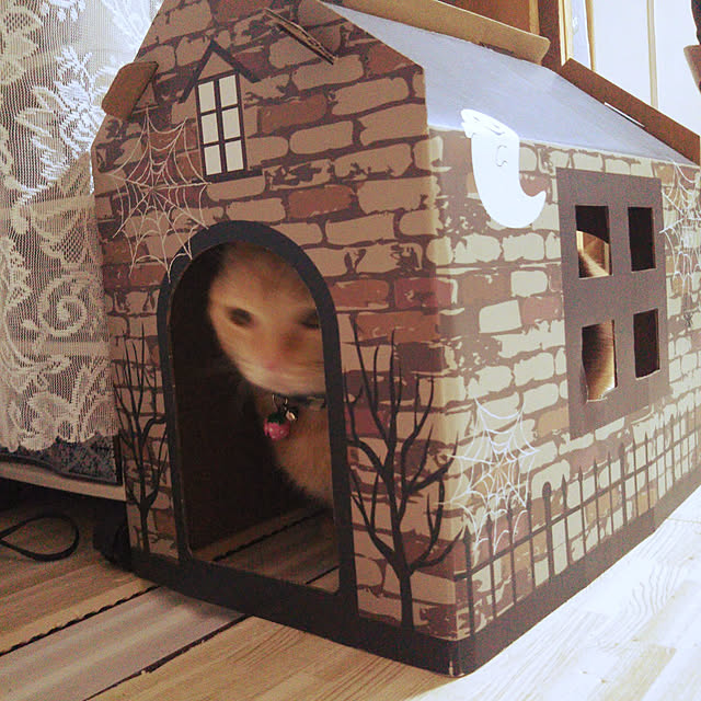 runaさんの実例写真
