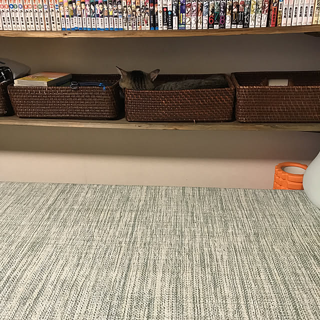 mikan161さんの実例写真