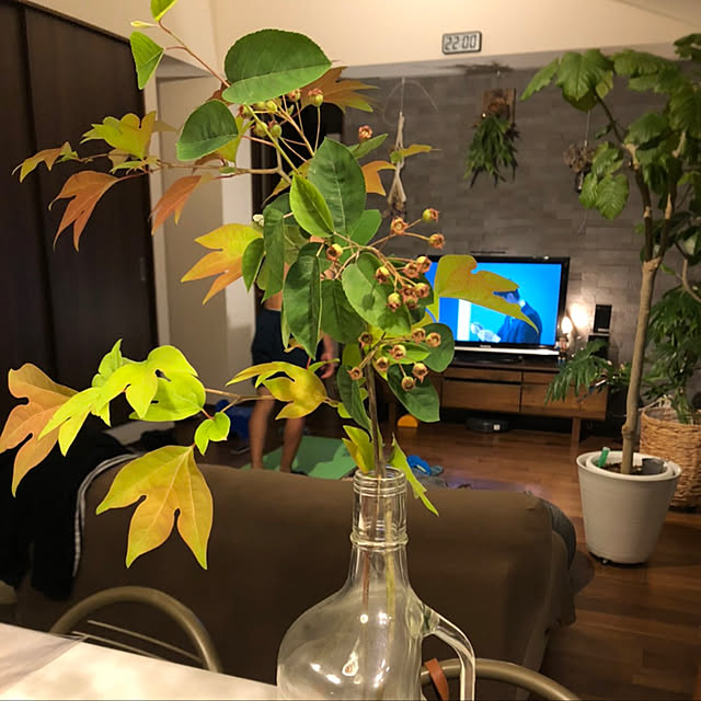 orangeさんの実例写真