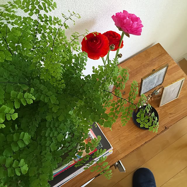 hariさんの実例写真