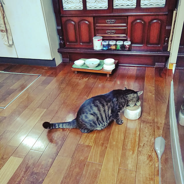 matyanさんの実例写真