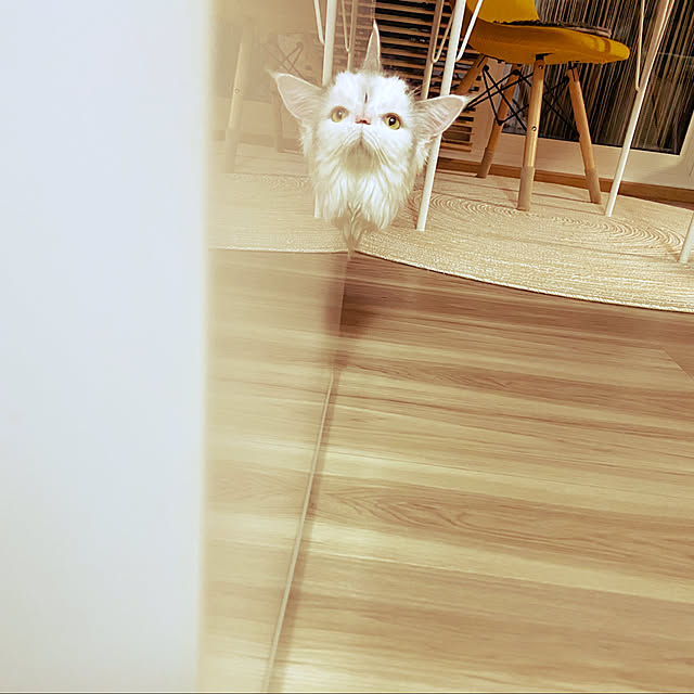 miwaさんの実例写真