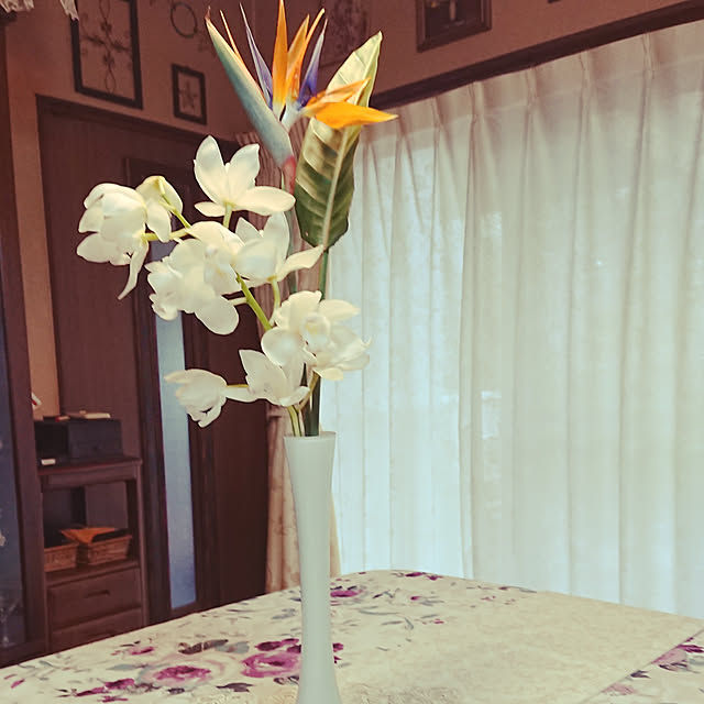 junkn6さんの実例写真
