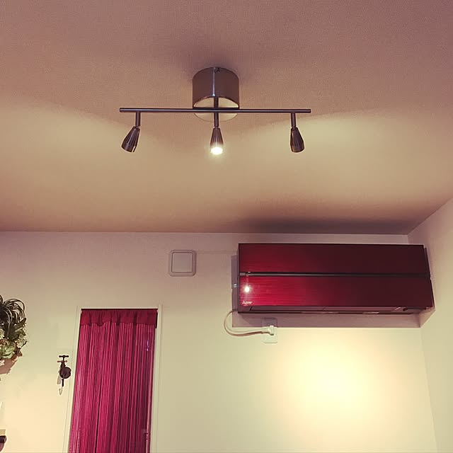 oriさんの実例写真
