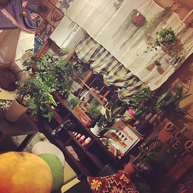 Rieさんの実例写真