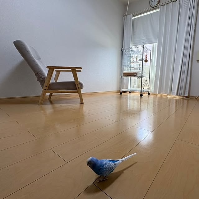 toratanさんの部屋