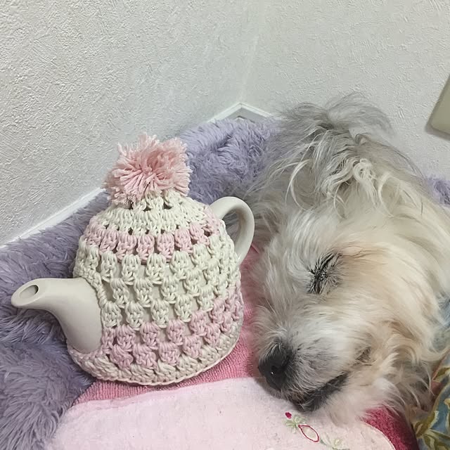 myumyu0413さんの実例写真