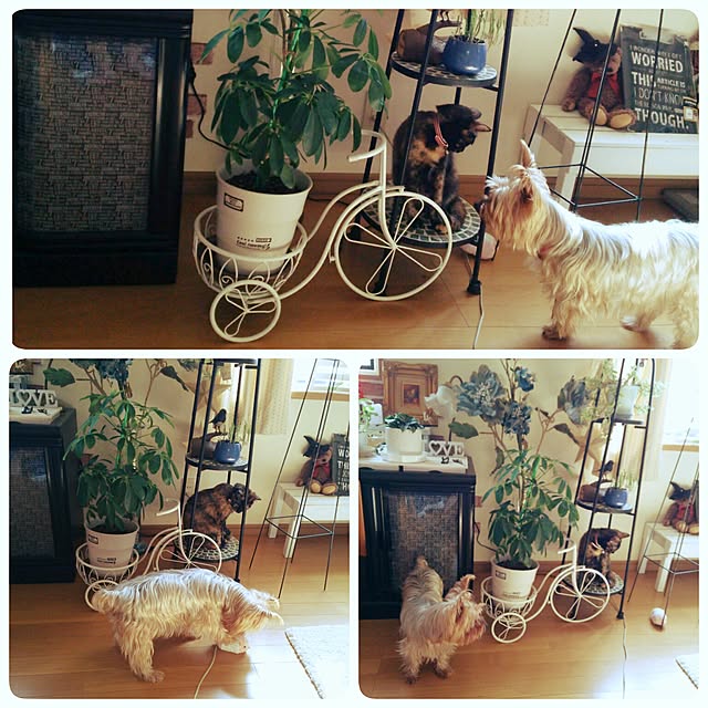 mcomcoさんの実例写真