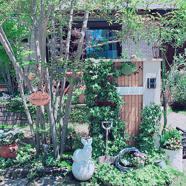 miaさんの実例写真