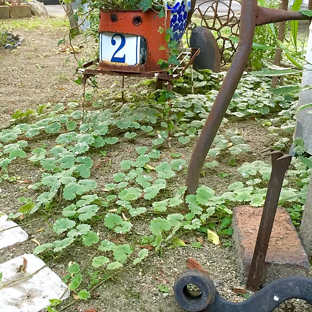 bibianさんの実例写真