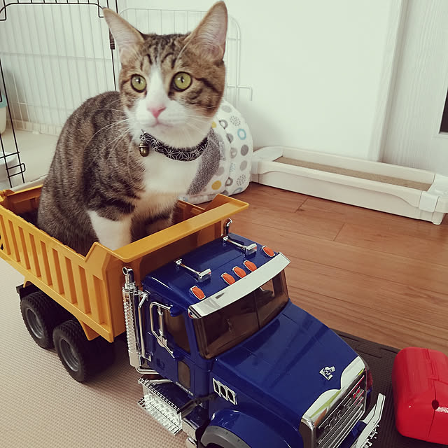 Holさんの実例写真