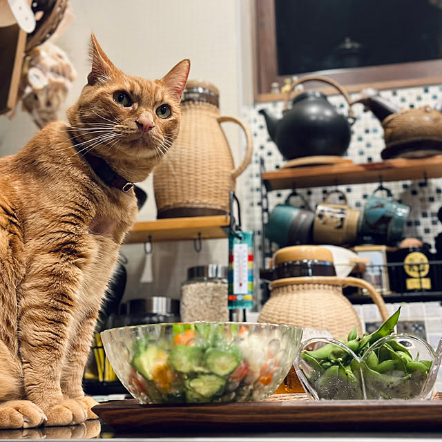 Maruさんの実例写真