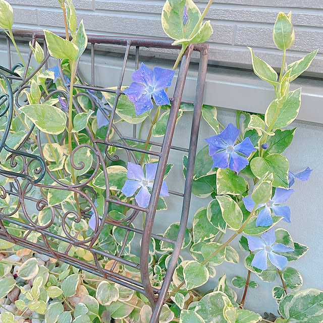 akiko-ovさんの実例写真